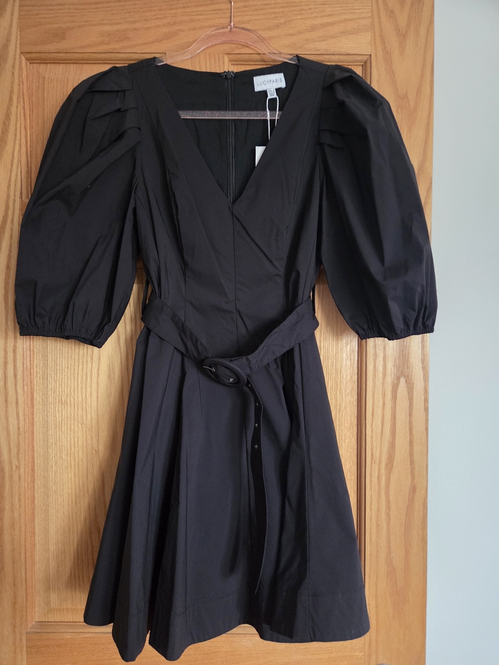 Lucy Paris Black Puff-Sleeve V-Neck Mini Dress